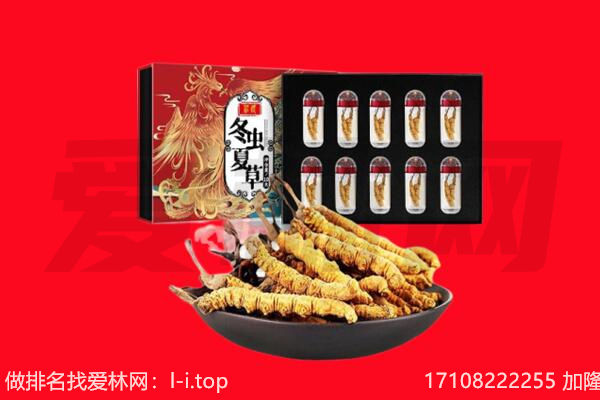 建始县回收虫草.jpg